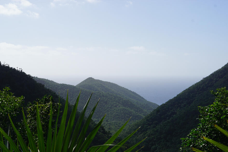 Reef Bay, St. John